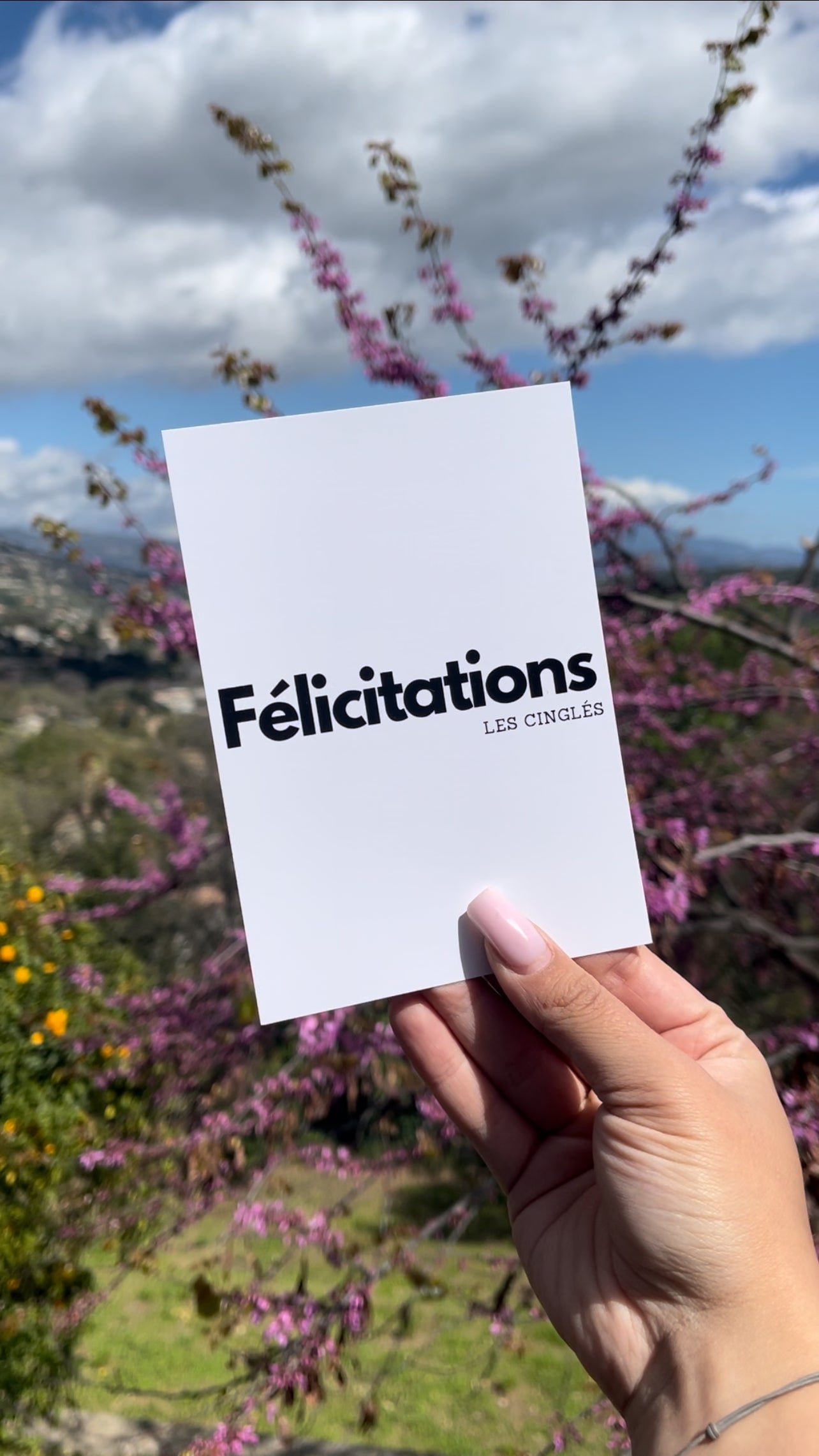 Félicitations les cinglés - Mademoiselle Louloute