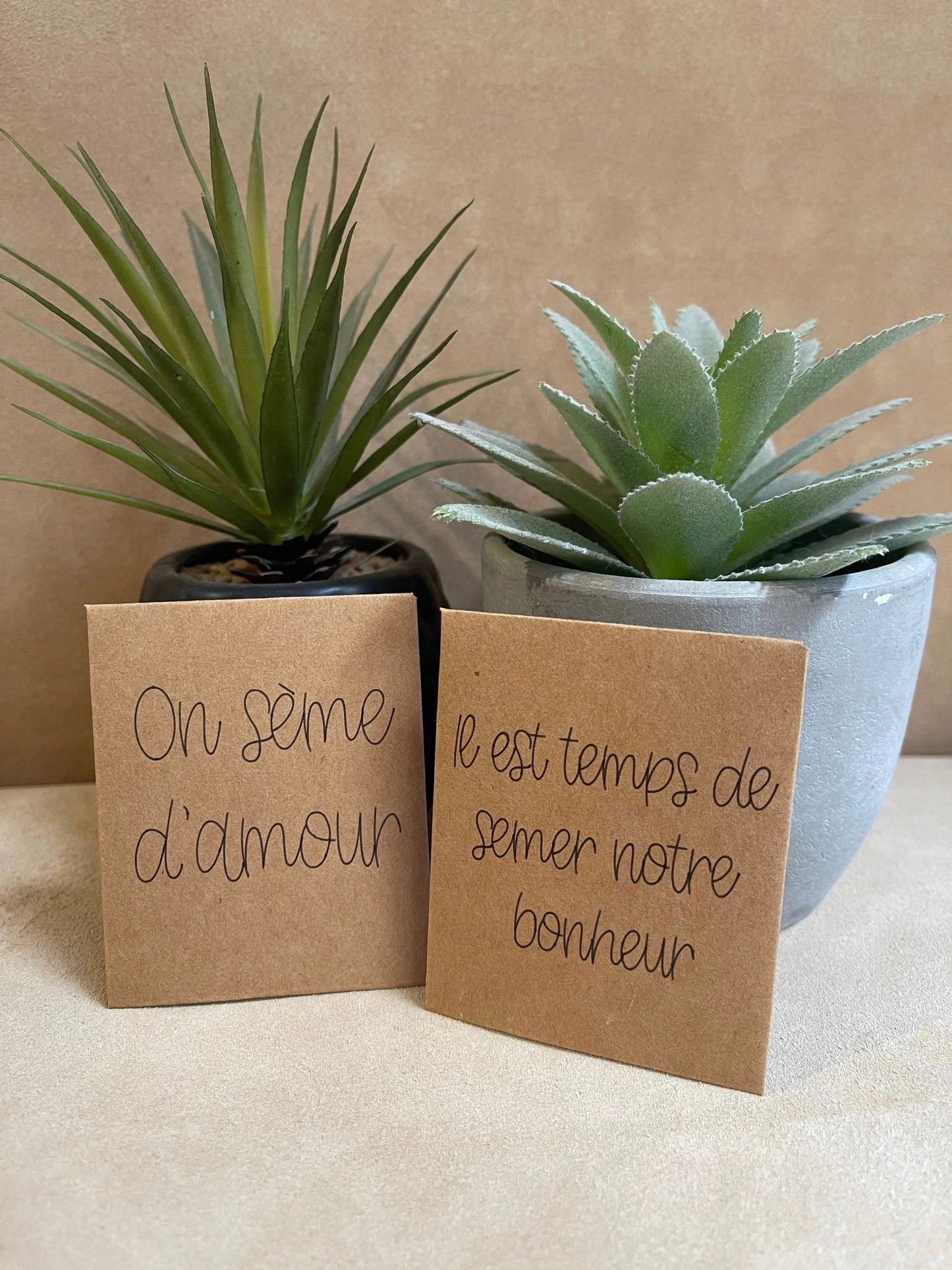 Graines à planter - Mademoiselle Louloute