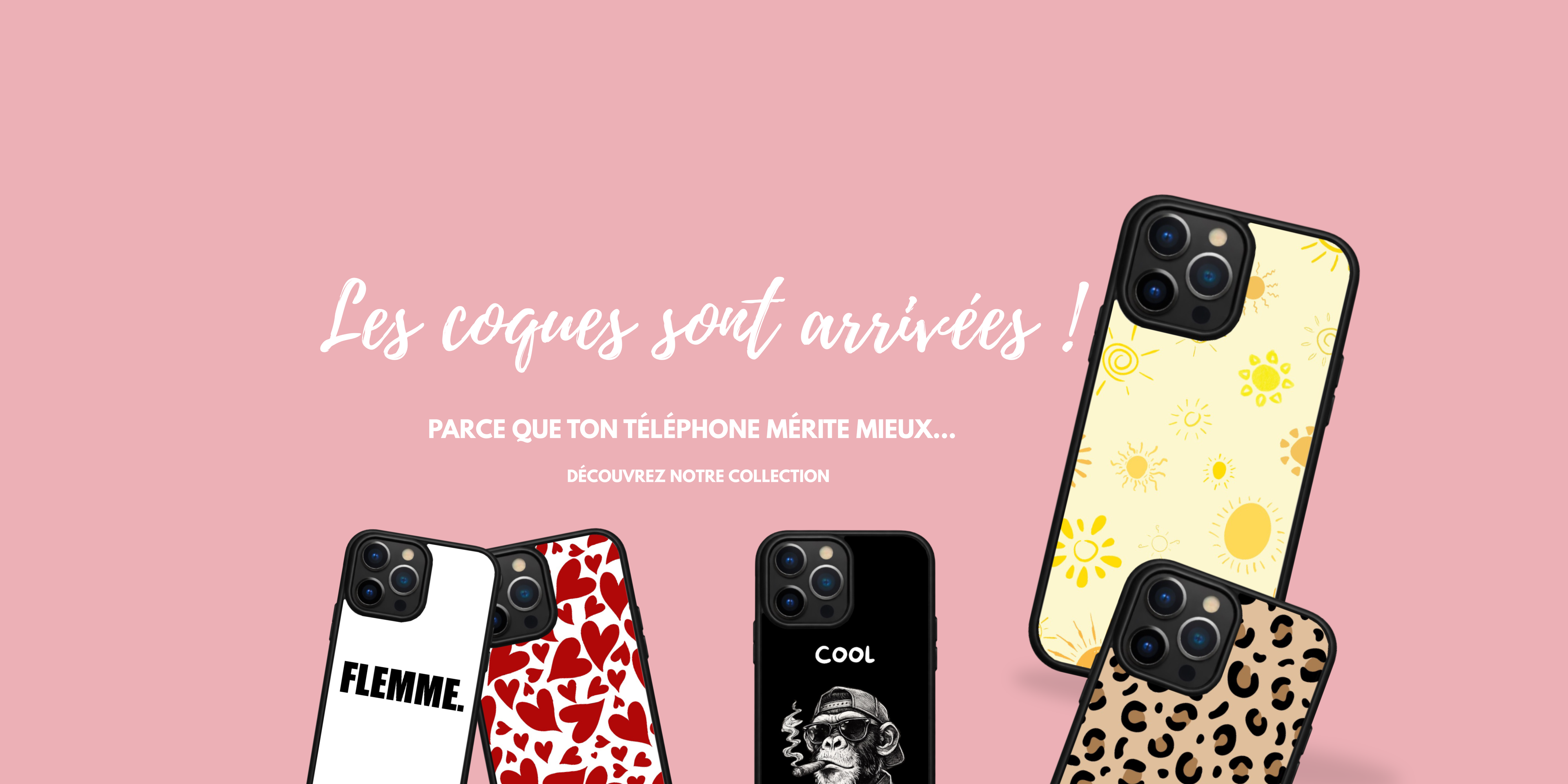 BANNIERE SITE INTERNET, PRESENTATION DES COQUES 